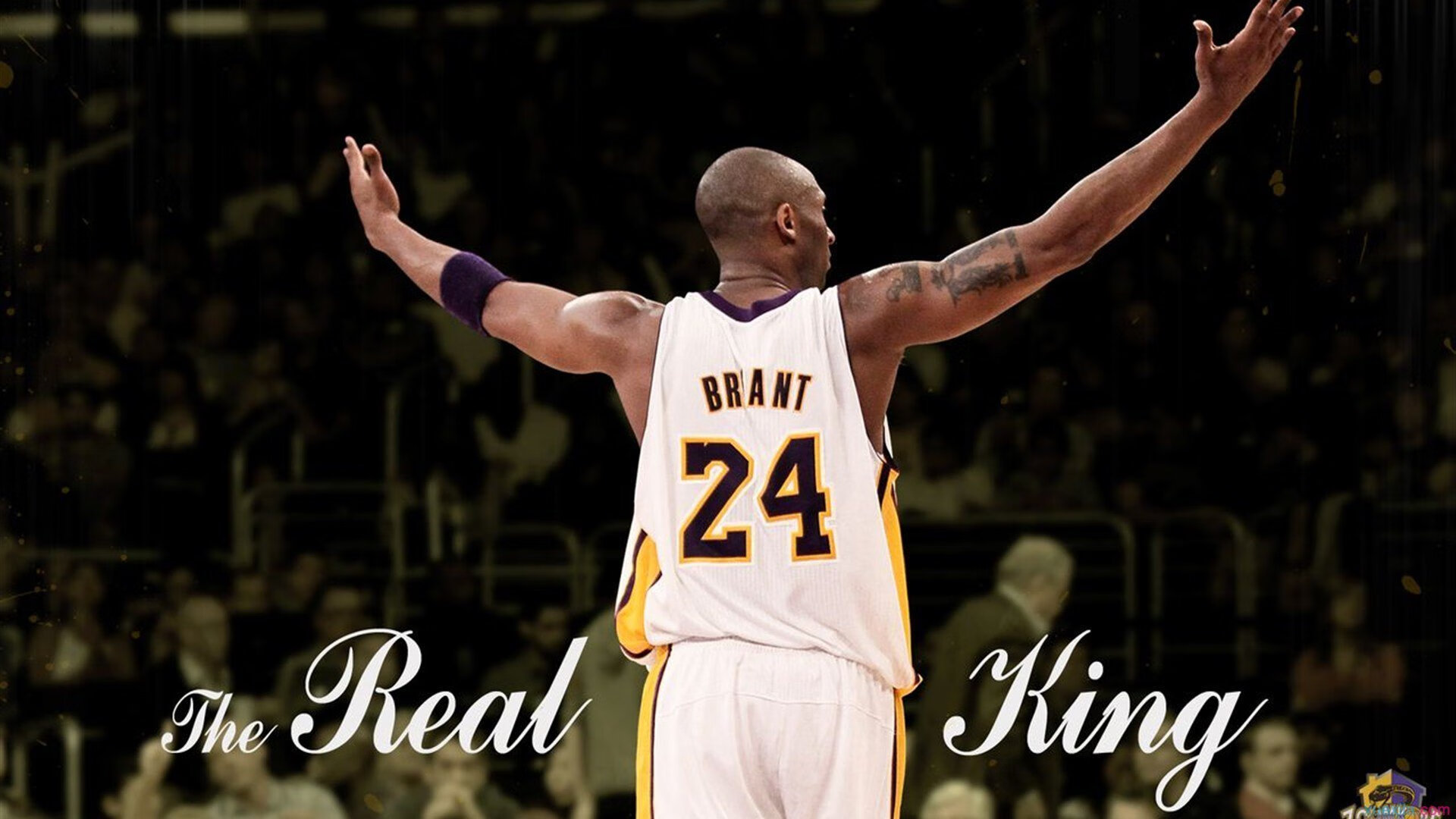 辽宁队对阵深圳队，霍勒迪用实力证明自己的关键一夜